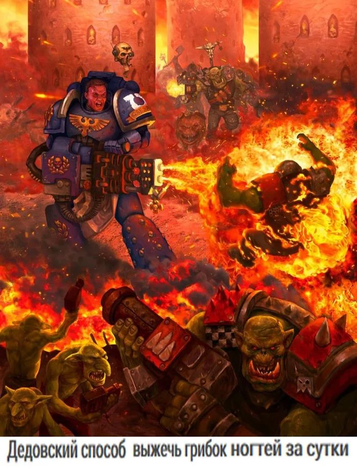 All you need is... - Warhammer 40k, Wh humor, Orcs, Fungus, Xenos, Exterminatus