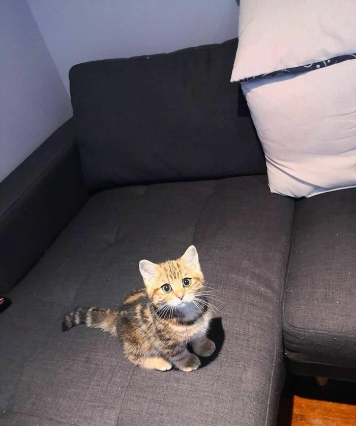 Сегодня спишь на полу!