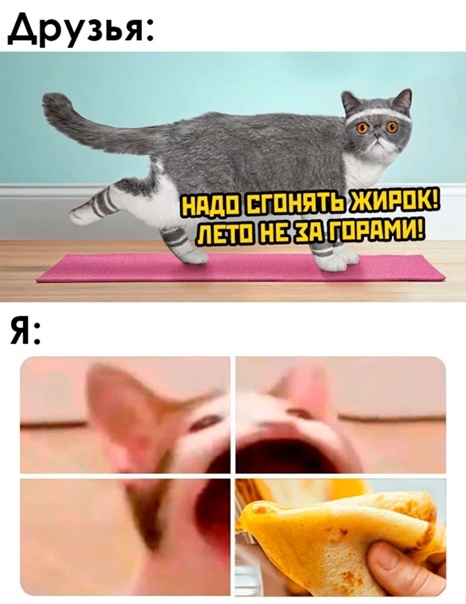 Well, as always - cat, Maslenitsa, Pancakes, Summer, Lifestyle, Picture with text, Memes, Humor, , Spring, Pop Cat