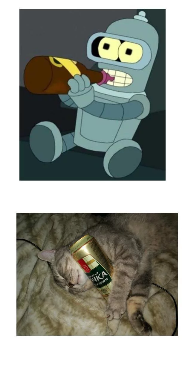 In the image and likeness - My, cat, Beer