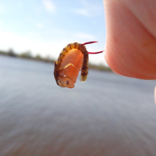 Alien in the vastness of the Volga - My, Fishing, Volga river, Relaxation