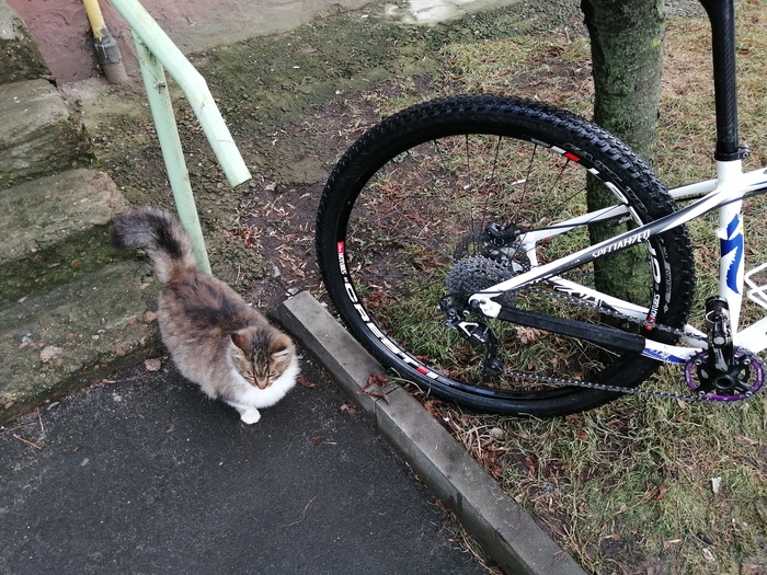 ���� � ������