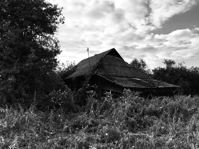 Village - My, Village, Black and white, Mobile photography, Longpost, Smolensk region