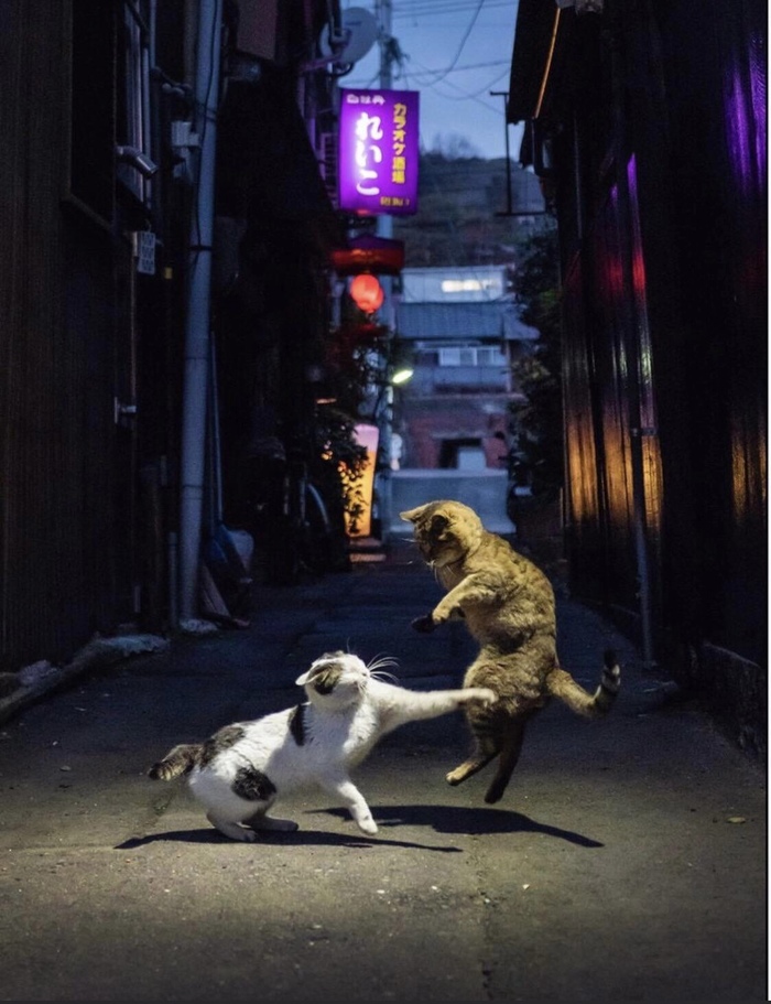 ����� � ����