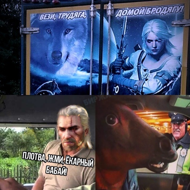 Take Roach - Witcher, Truckers, Work, Roach, Picture with text, Memes, Humor