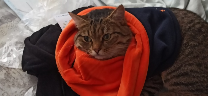 Это пост, на Пикабу.Ну он должен здесь быть.Вот можете узреть его своими глазами...Мне завтра будет 11