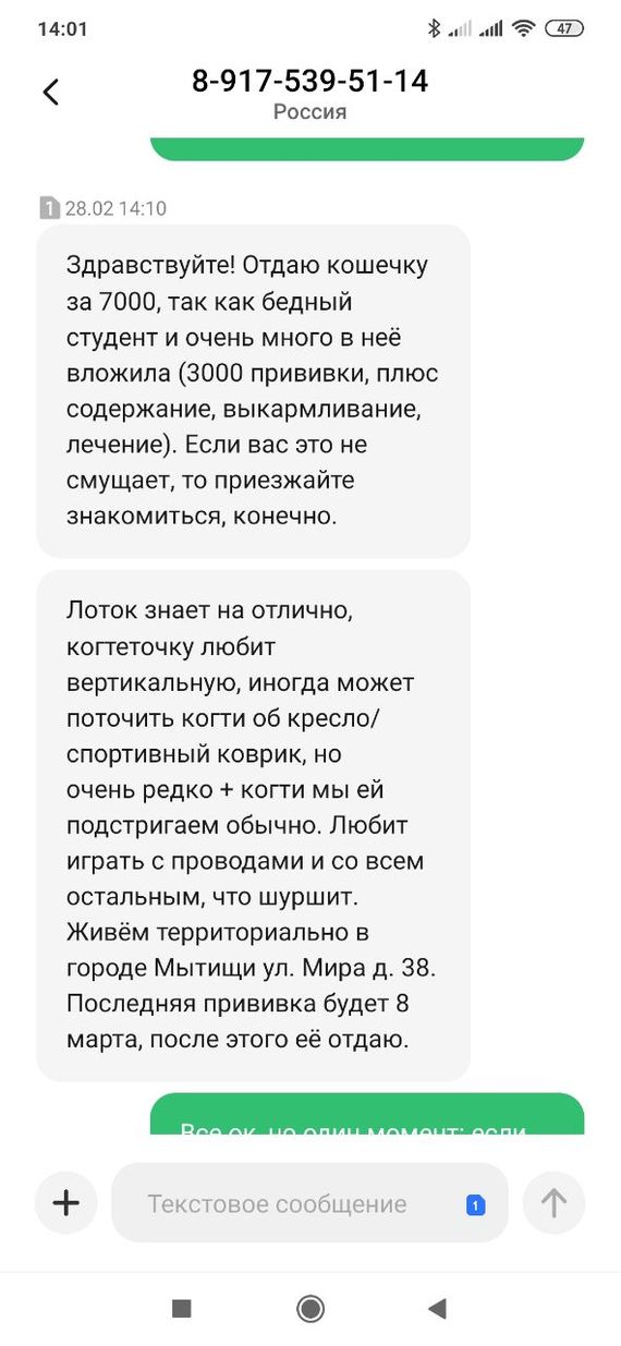 Ответ на пост «Кошечка Химера нашла дом!» - Кот, Негатив, Обида, Ответ на пост, Длиннопост