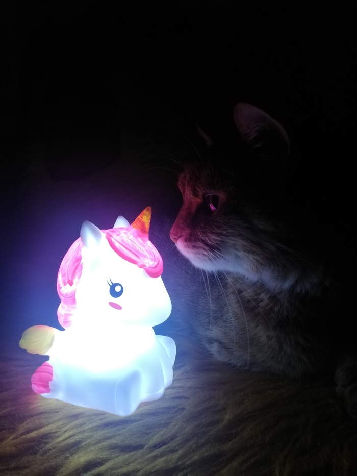 Мой вариант котолампы)