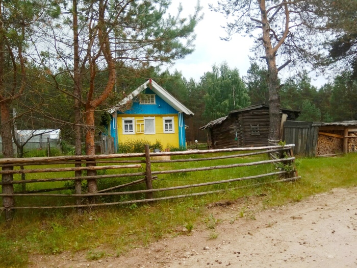 Дом в сосновом лесу