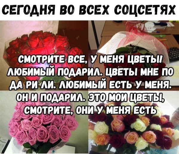 � ����������, �������!