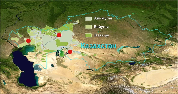 The origin of the Kazakhs of the Junior Zhuz from the point of view of genetics (male line) - My, The science, Story, Kazakhs, Longpost, Video, Kazakhstan, Genetics, Population genetics, Research, GIF