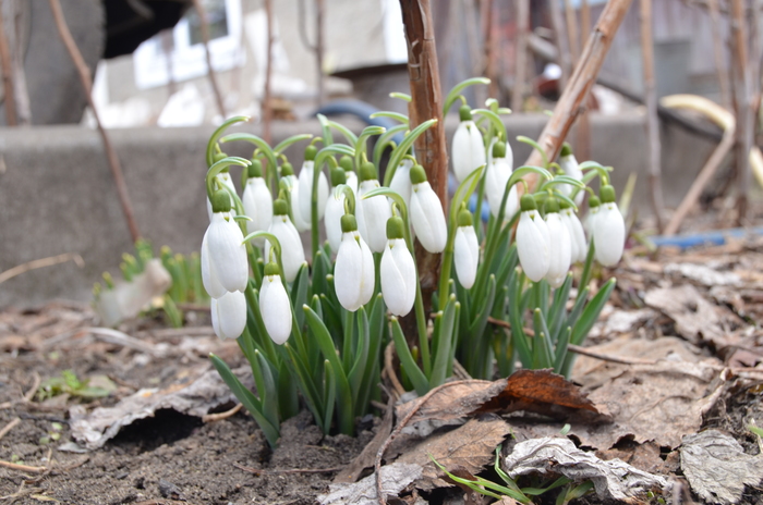 �������