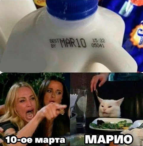 10-е Марта - Марио, Super Mario, Март, Две женщины орут на кота