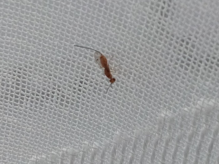 ��� ��� �����?