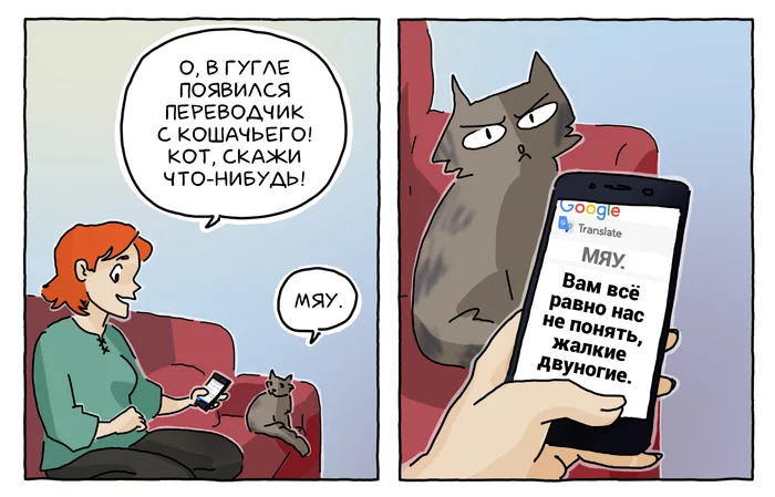 Meoogle translate - My, Comics, Google, Lost in translation, cat