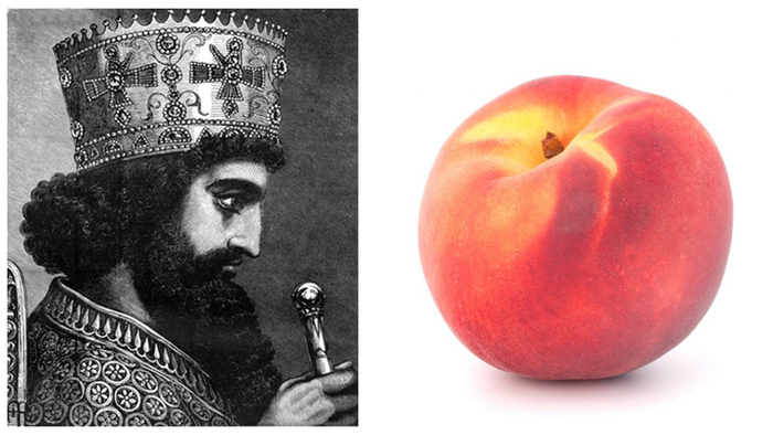 Неожиданная мысль вылилась в это