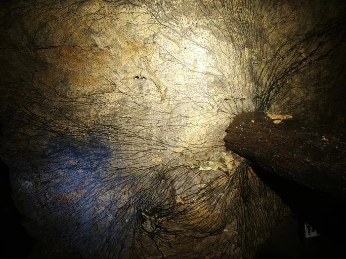 Mold and fungus in caves - My, Quarry, Mold, Caves, The photo