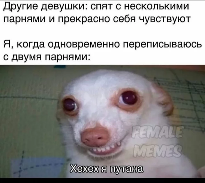 Хе - хе - Надпись, Картинка с текстом, Юмор, Девушки, Собака, Female Memes