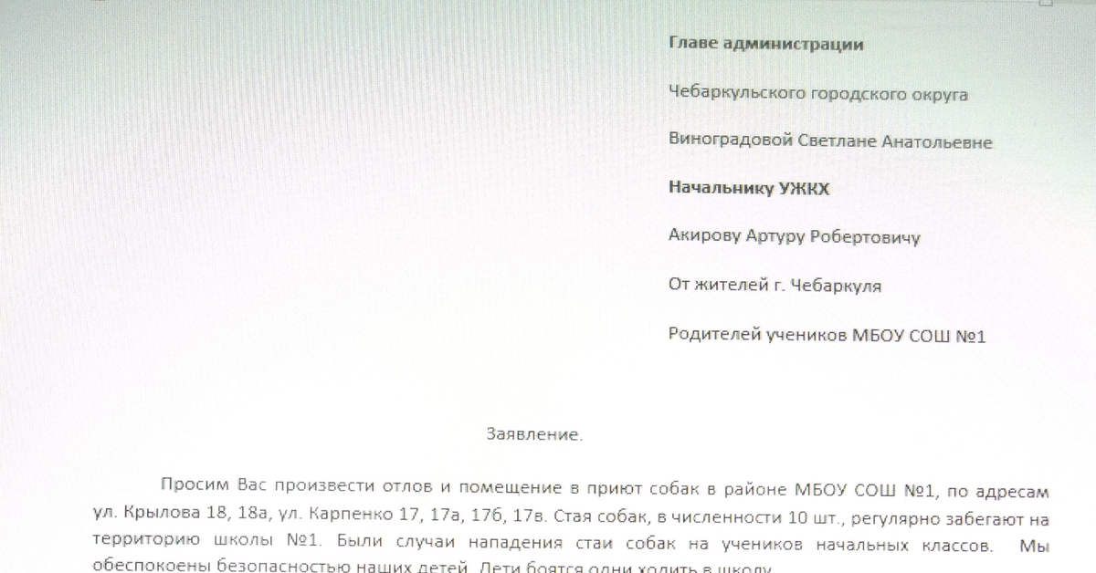 Пример заявления по отлову собак | Пикабу