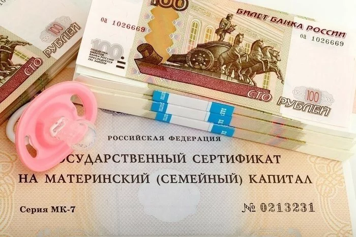 The State Duma proposed issuing maternity capital in cash - Maternal capital, Politics, Longpost