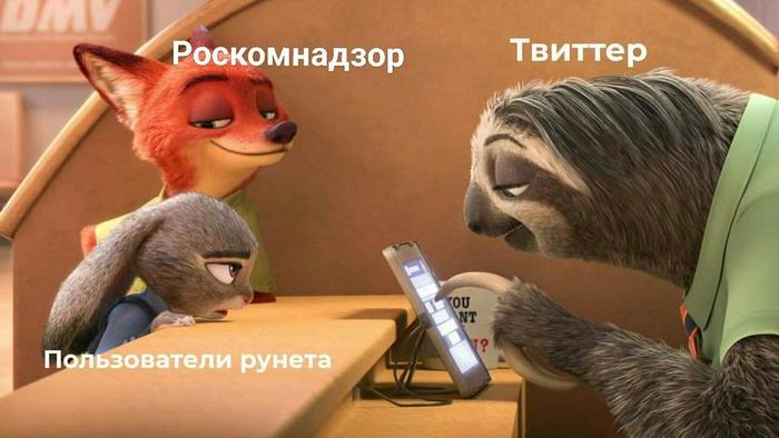 ���� �����������