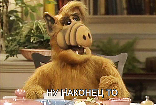 Kote - cat, Alf, Yandex Food, Сумка, Humor, Milota, Strange humor