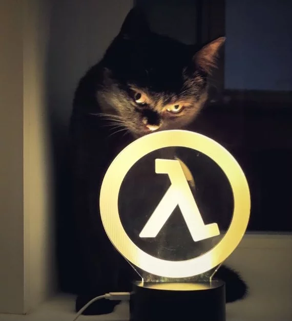 Night cat lamp - My, cat, Лампа, Half-life, Lambda