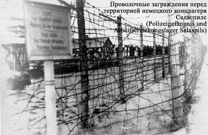 Concentration camp in Salaspils - My, The Great Patriotic War, Concentration camp inmates, Salaspils concentration camp, Swans, Longpost, Concentration camp, Negative