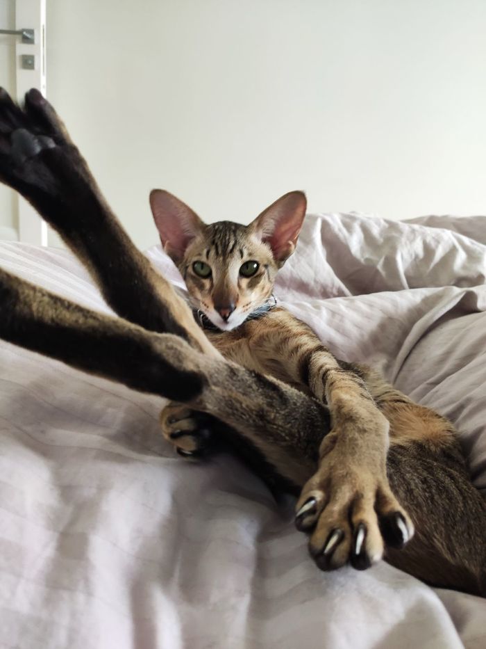 Не смотри, я не одетая!