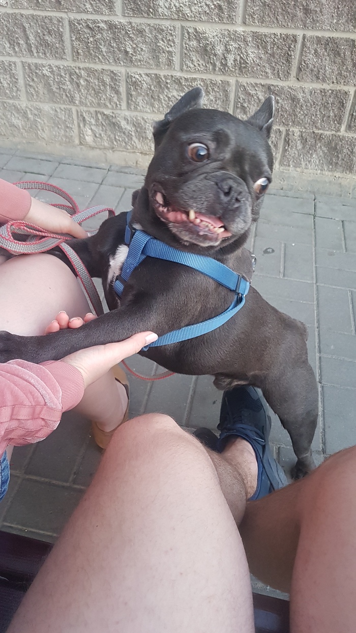    , ,  , , , , 