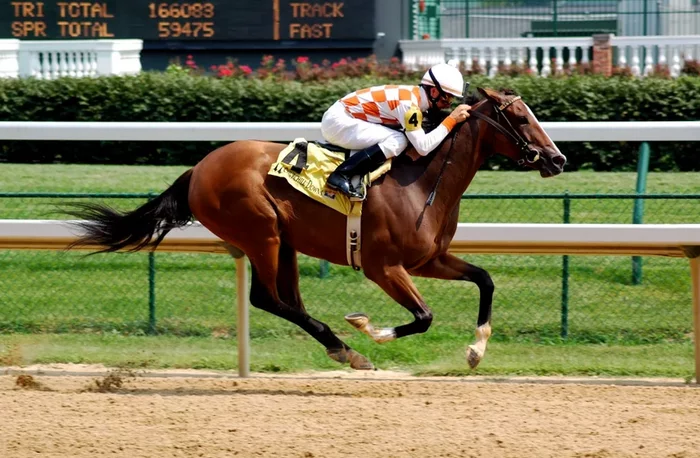 Король спорщиков Амарилло Слим и его самые невероятные пари Пари, Хитрость, Длиннопост, Спор Король спорщиков Амарилло Слим и его самые невероятные пари Пари, Хитрость, Длиннопост, Спор