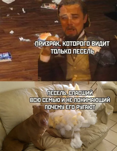 How wrong we were - Dogs and people, Призрак, Mess, Picture with text, Memes, Humor, Innocence, Dog