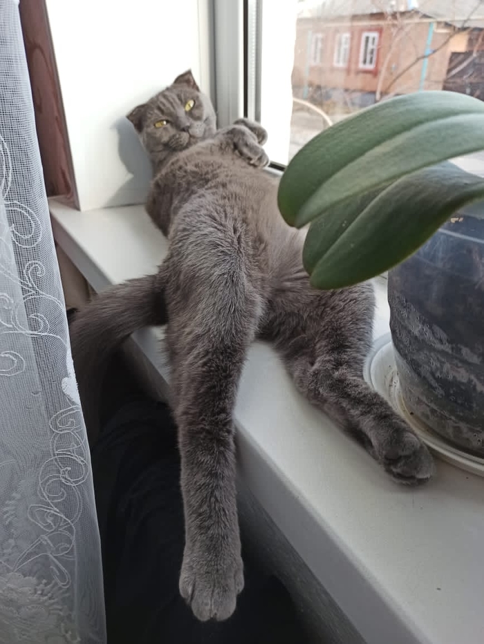  ?  ! ,  
