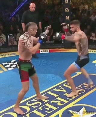           , MMA, UFC, 