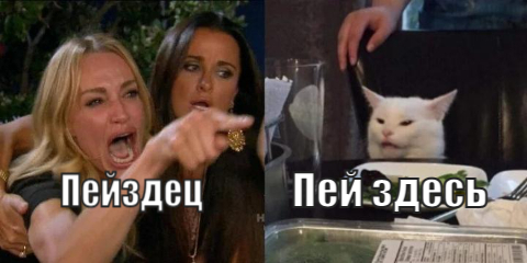 Drink here, really? - My, Kiev, Nalivaika, Two women yell at the cat