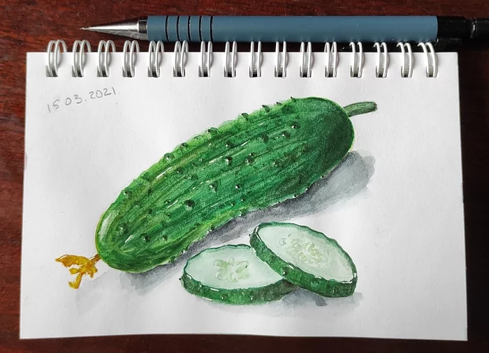 Cucumber - My, Learning to draw, Drawing, Cucumbers, Vegetables, Watercolor