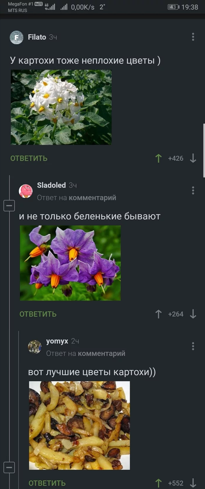 The best flowers in the world - Potato, Comments, Flowers, Longpost, Comments on Peekaboo, Screenshot