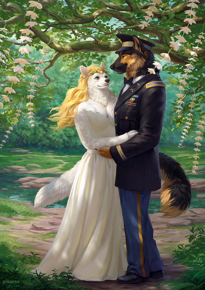 Wedding Ceremony , , , Furry Canine, Furry Dog, Alsares