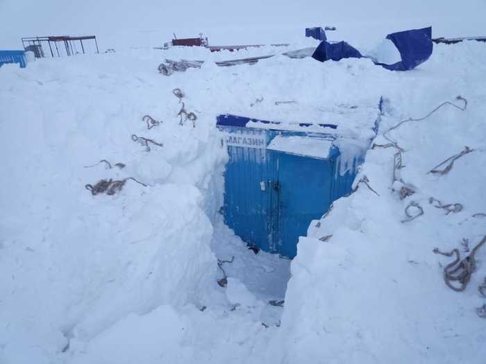 Nano-firewood in the tundra - My, Tambey, Sabetta, Tundra, Arctic, Logistics, Longpost