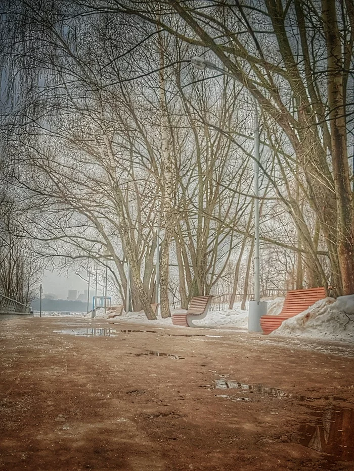 Spring - My, Bench, Street photography, The photo, Mobile photography, Photo on sneaker, Spring, Snapseed