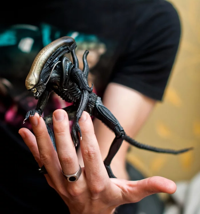 He's a stranger, he's a stranger, he's bad - My, Xenomorph, Stranger, Video, Longpost