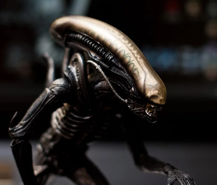 He's a stranger, he's a stranger, he's bad - My, Xenomorph, Stranger, Video, Longpost