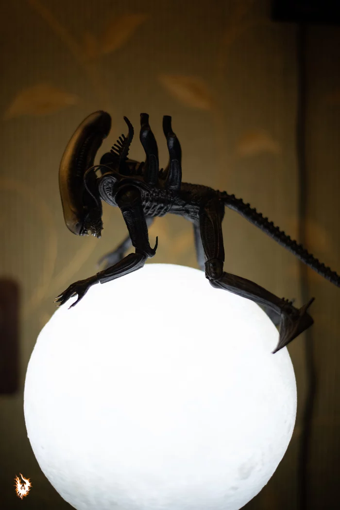 He's a stranger, he's a stranger, he's bad - My, Xenomorph, Stranger, Video, Longpost