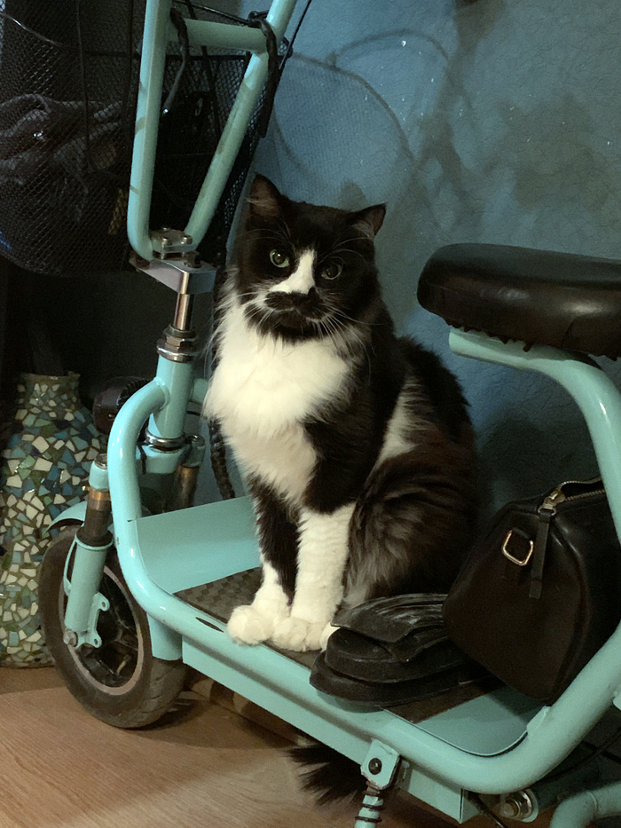 ������ ������ �������