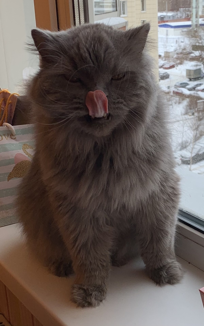 ������������ ���