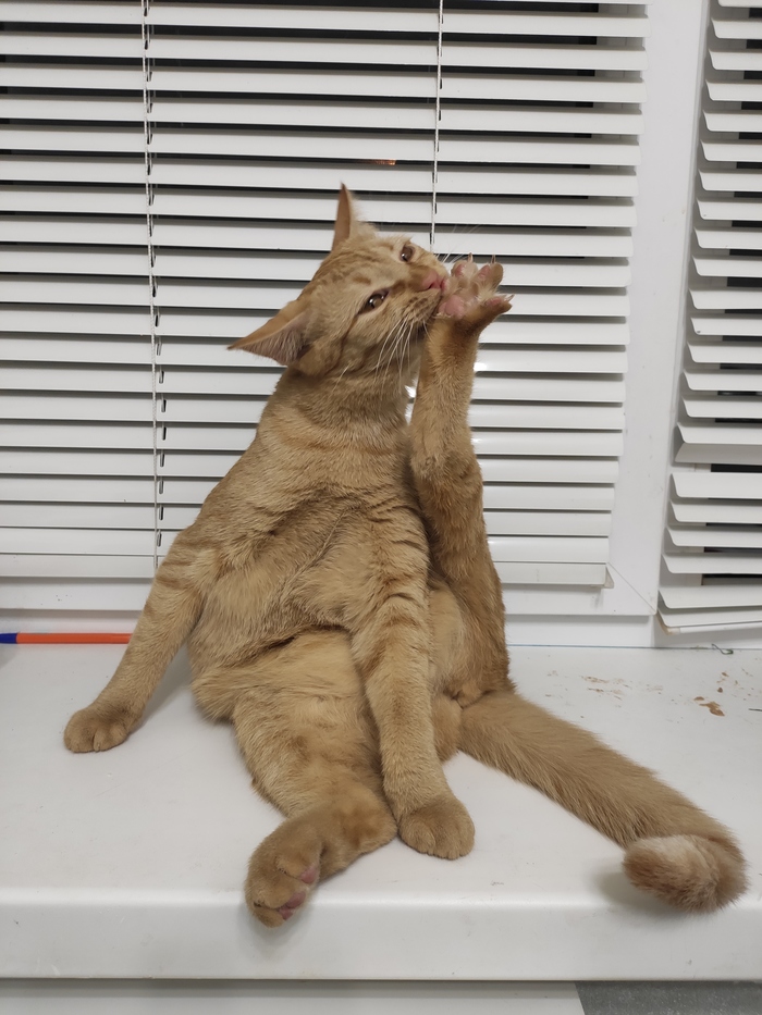 ,    , , , , , , 