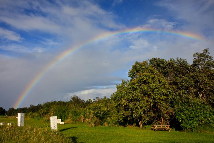 Rainbow