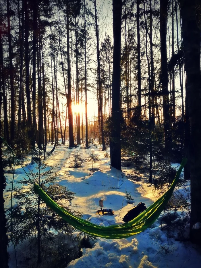 Sunset - My, Hammock, Tourism, Sunset, Snow, Tea, Nature, Relaxation, Travels, Saint Petersburg