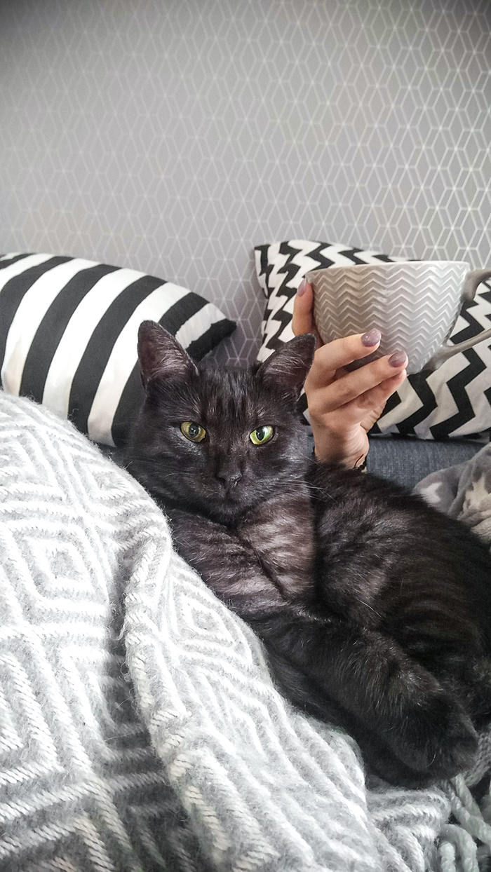 ������� ����