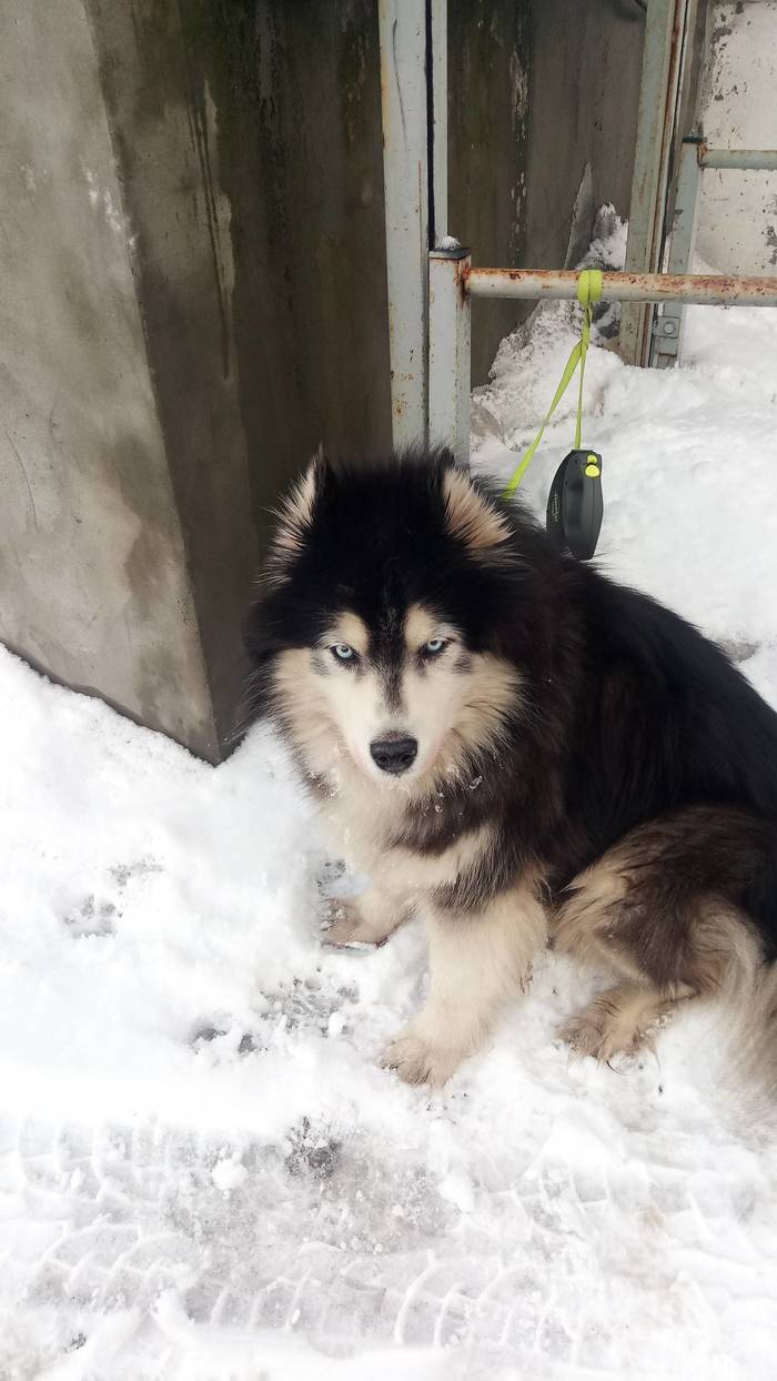 ����� � ��������� ��� ������� �������� (��� ���������)